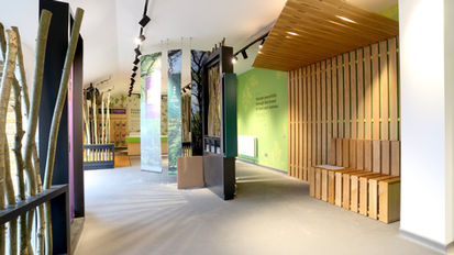 Hainault Ancient Forest project completes
