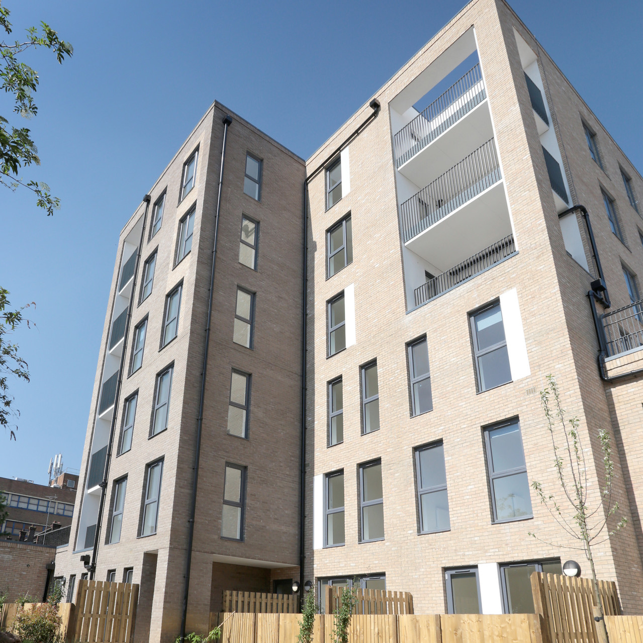 Sylvan Grove Completed