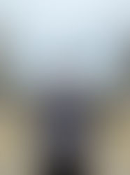 A Standout Achievement in a Demanding Year of Study and Site Work