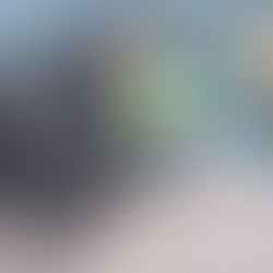 The detail behind the scenes 🦍