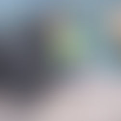 The detail behind the scenes 🦍