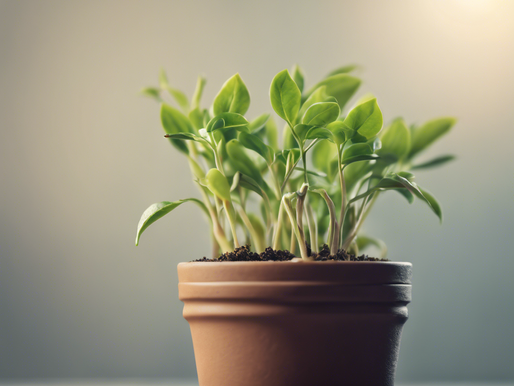 Green Transformation Solutions for Small Businesses