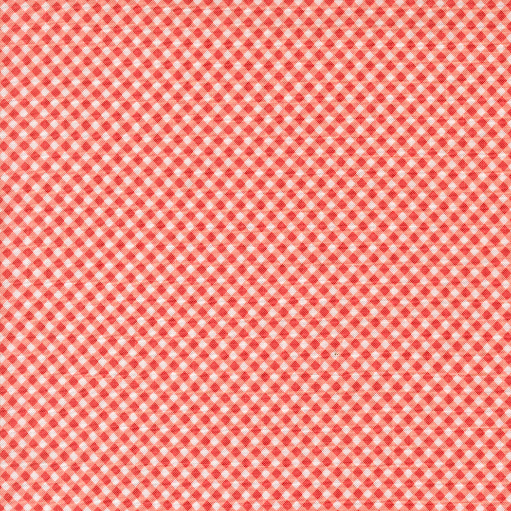 Raspberry Summer - Gingham - Carnation - Sherri and Chelsi