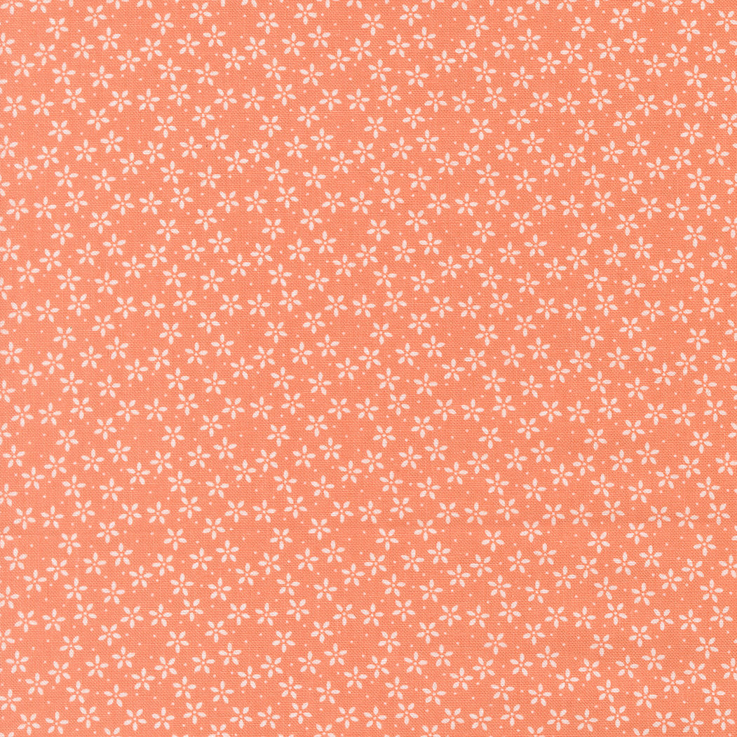 Pastel Prairie - Colander - Coral - Heather Briggs