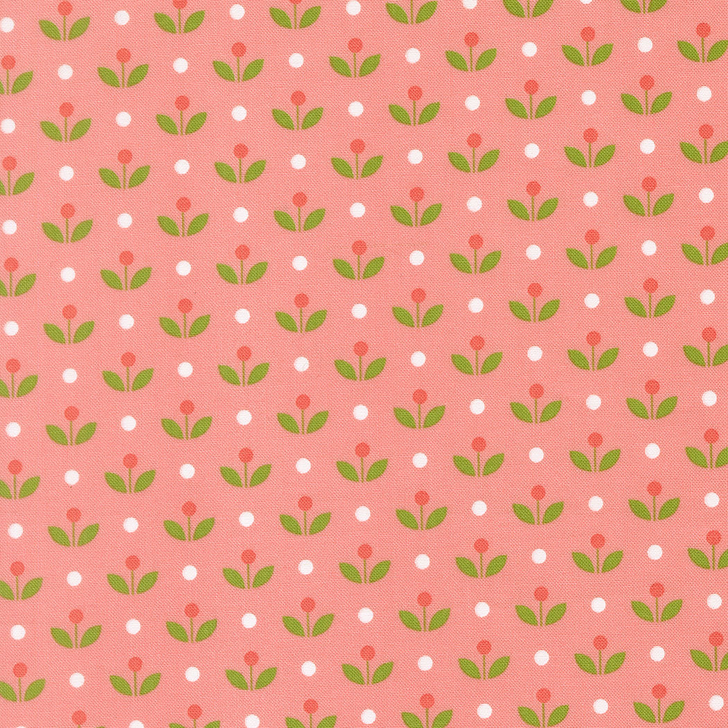 Bloomsberry - Mayfair - Blush - Camille Roskelley