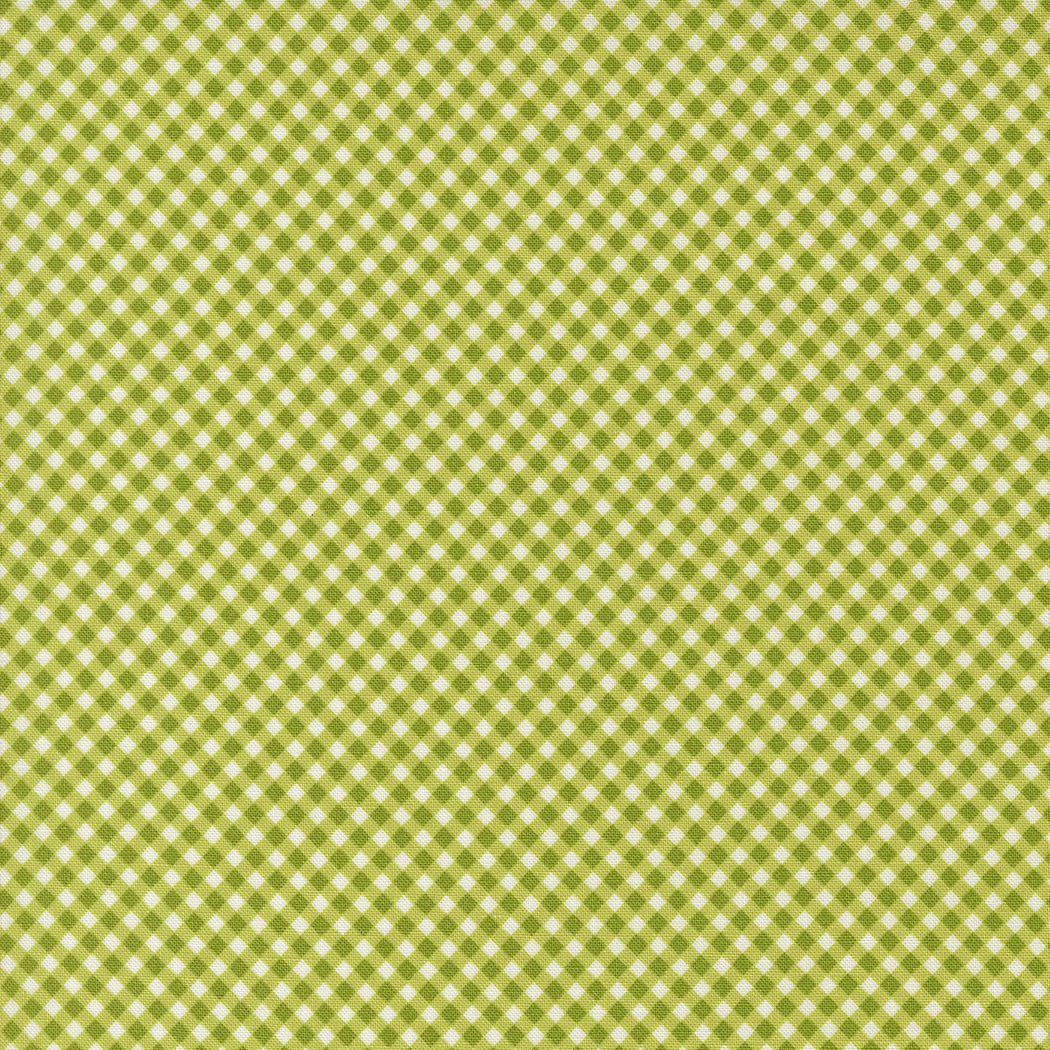Raspberry Summer - Gingham - Lime - Sherri and Chelsi