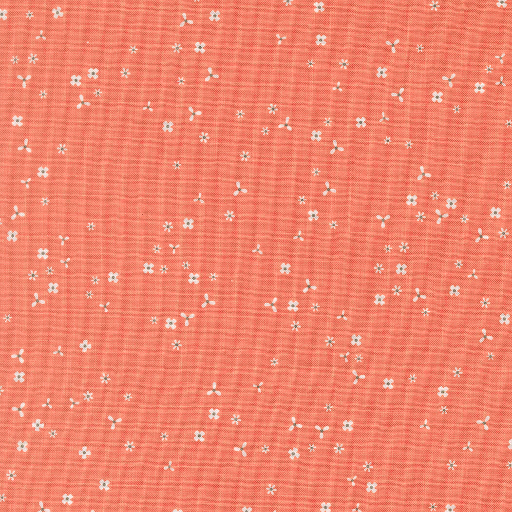 In the Garden - Flutter - Coral - Corey Yoder