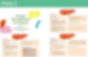 10_projets_economie_circulaire_cadre_du_Plan_Climat_Feuille_route_adopte_Mairie_fin_annee_2017