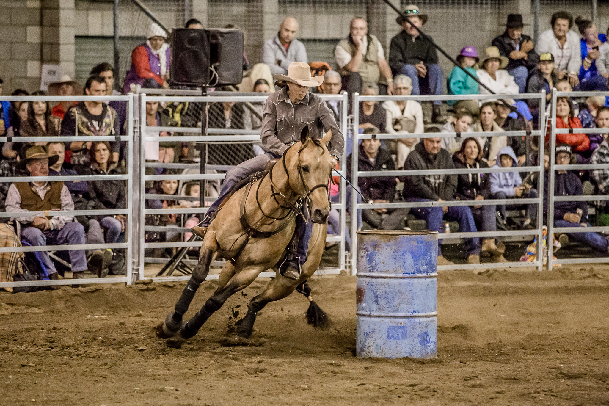 Dalby & District Show Society