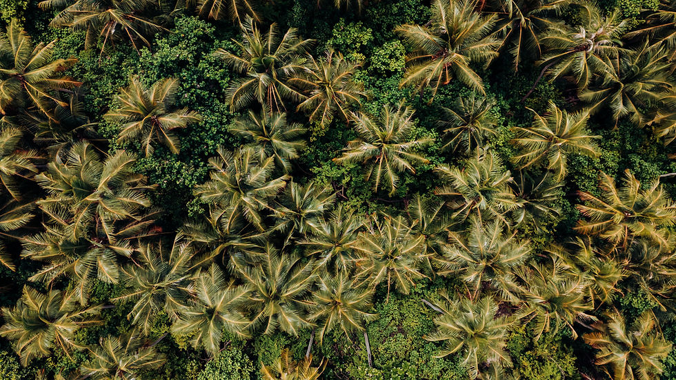 DJI_0842.jpg