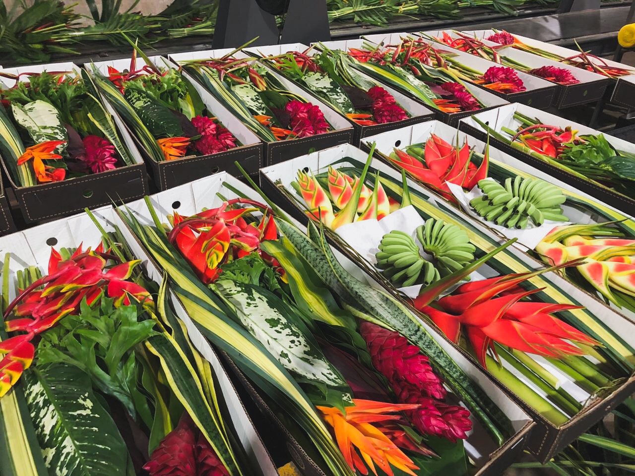 Combo Boxes magicflowers