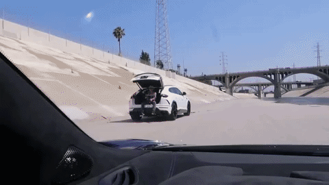 GIF by Greatr Media-source.gif