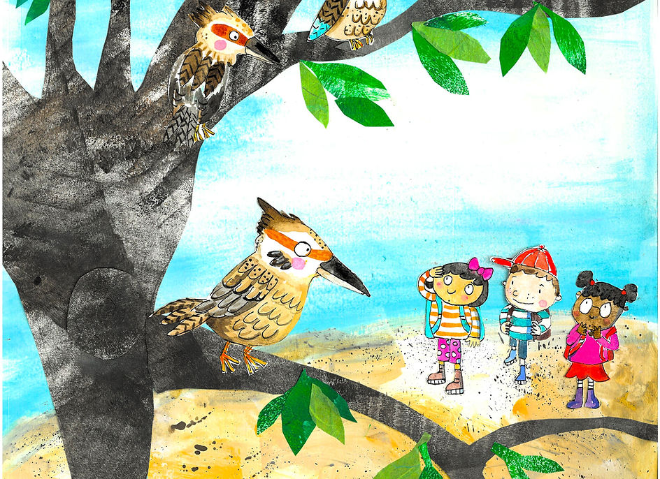 croc kookaburras3.jpg