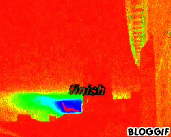 bloggif_5e4faa34b7d76.gif