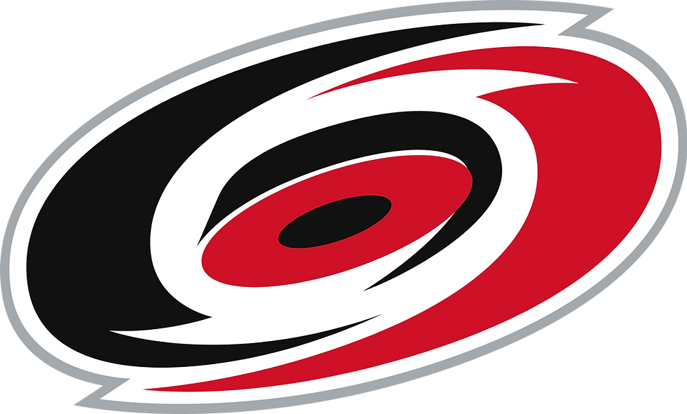 logo carolina hurricanes nhl ameryka usa