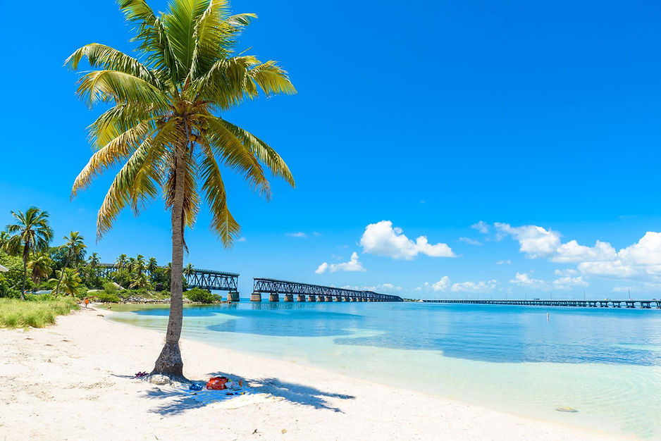 plaża palmy usa floryda