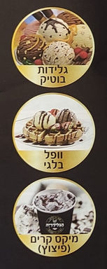 תפריט המנות (4)