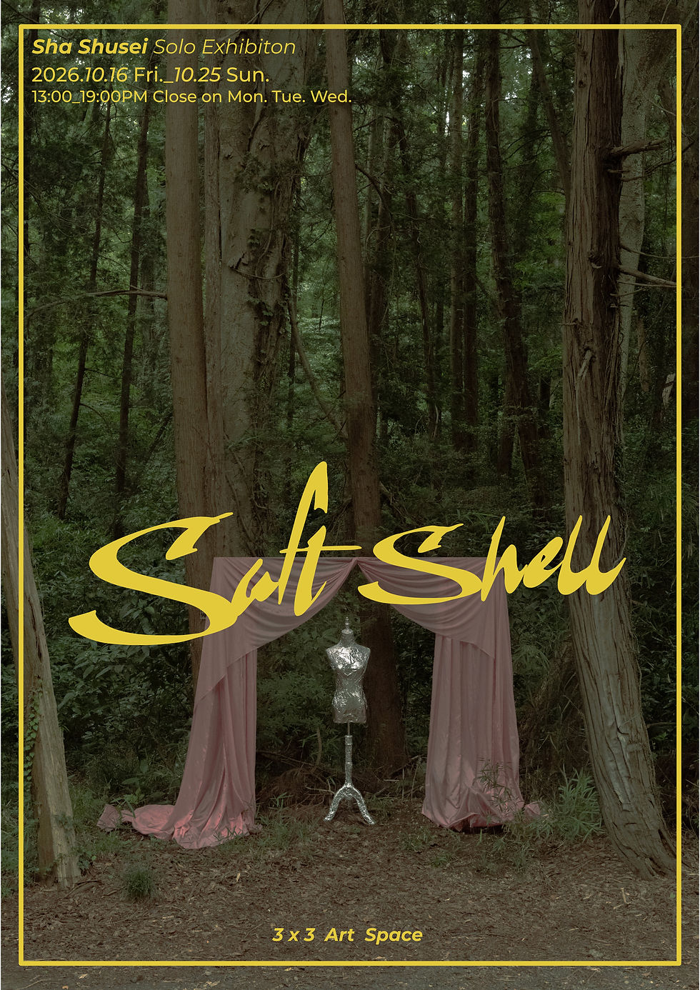 Sha Shusei個展『柔らかな殻』