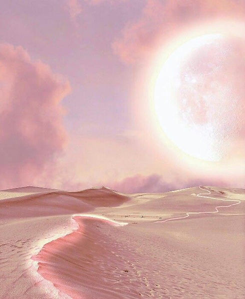 pink5.jpeg