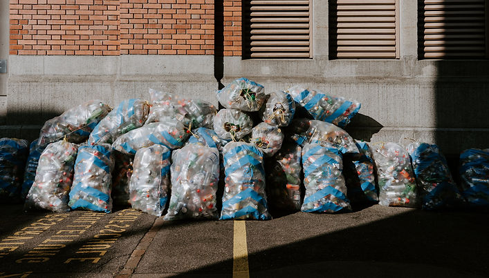 picture with rubbish bags