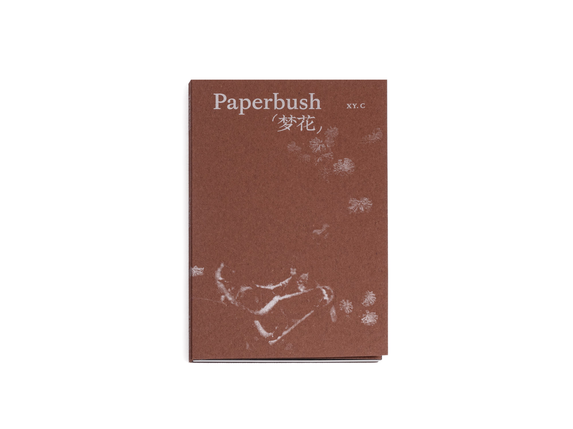 Paperbush | Chen Xiaoyi