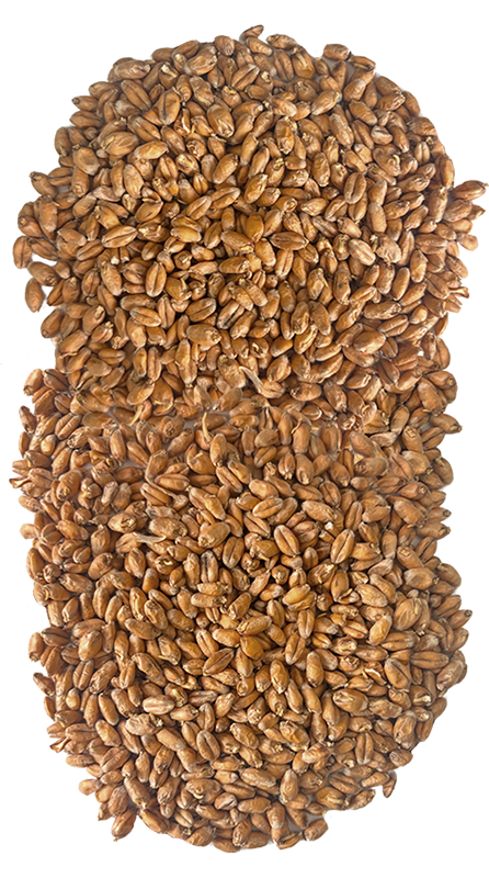 Produit-Malt_2.png