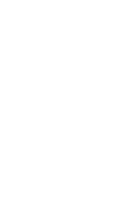 Fleche.webp