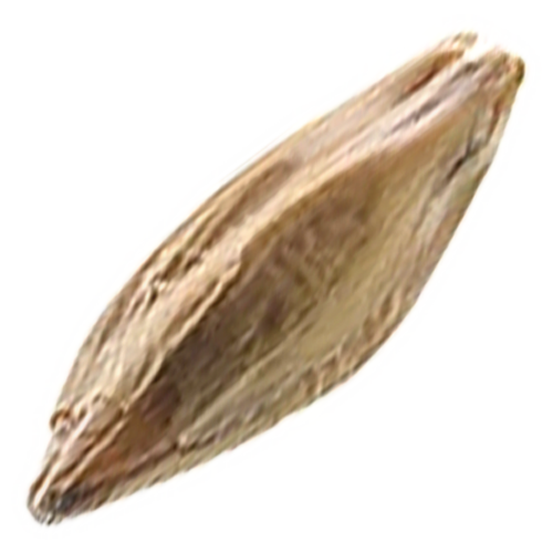 Grain.png