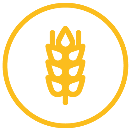 Icone_Service_1.png