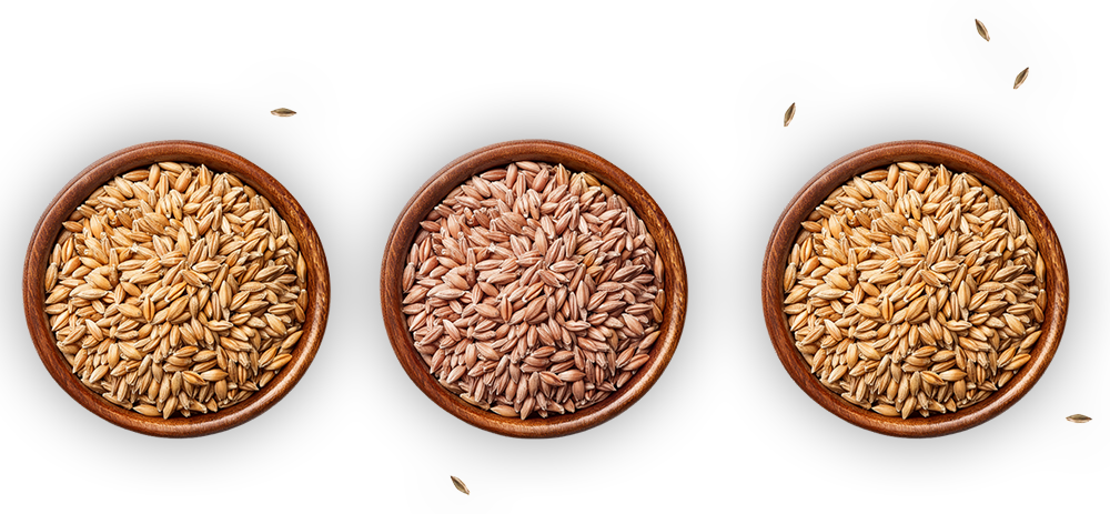 Image_bols_de_grains.png