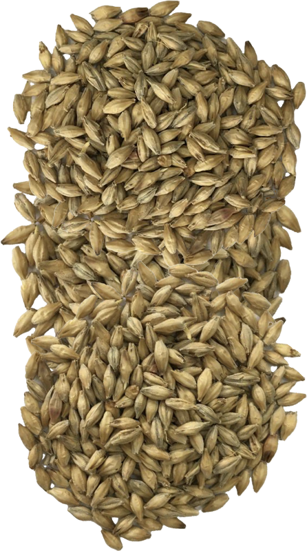 Produit-Malt_1.png