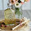 Miniatura: HOME FRAGRANCE Fior di Lino