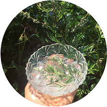 Essential Wildness (13).png