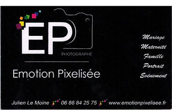 emotion pixelisée Teloché 50€.jpeg