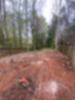 35D6F964-C676-475A-A729-B65035086AA4