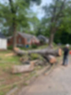 B09267A4-14F1-4F48-BB50-53194AB4A5A7