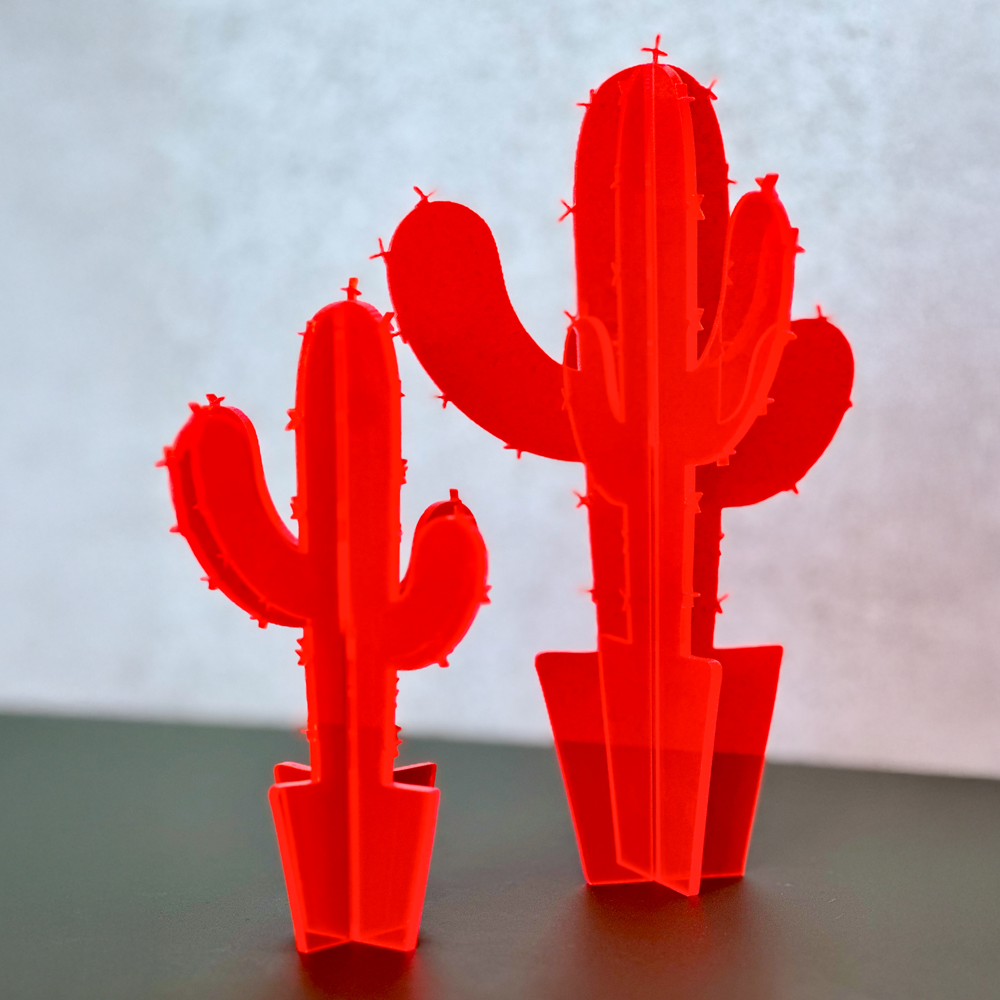 roter Kaktus