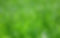 greengrass-background.jpg