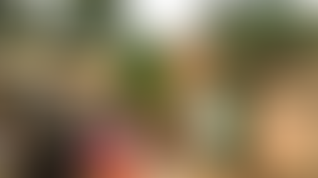 West Africa Monthly Report: July 2026