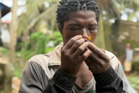 Liberia’s kush crisis: The hidden trade behind a generation at risk