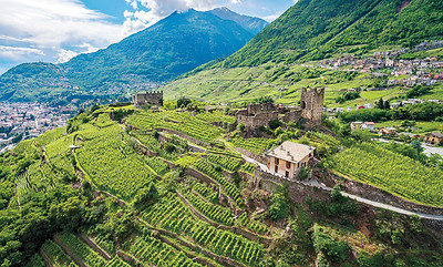 Nebbiolo_With_Altitude_Grumello_Castle_Photo_Shutterstock_1920x1280.jpg