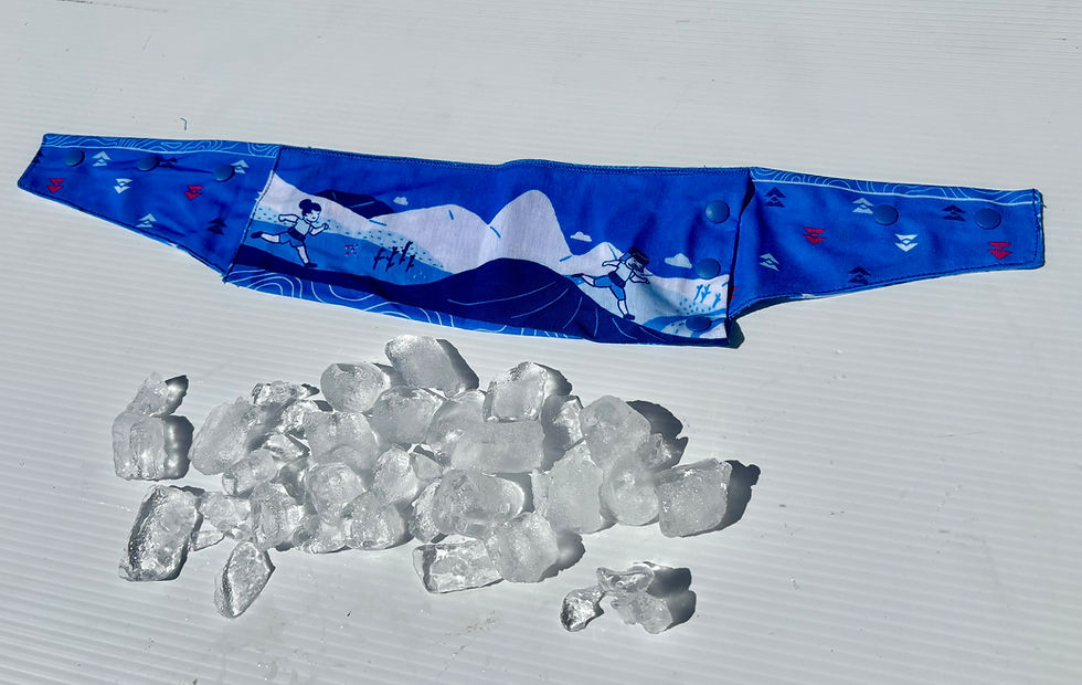 Thumbnail: T8 Neck Cooler