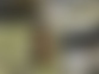 WOD for Monday 210705