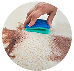 Carpet Cleaning