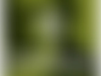 【終了】2022年3月20日(日)　トッパンホール