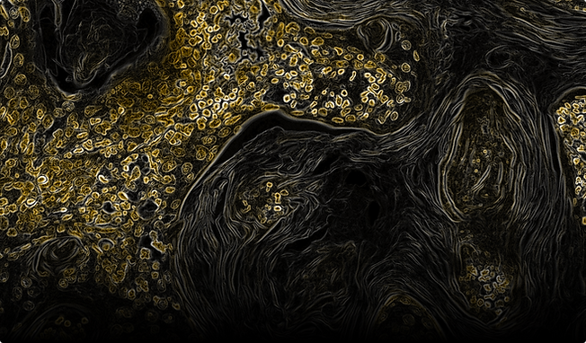 Journal of Diagnostic Medicine