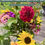 Thumbnail: Seasonal Farm Flower Bouquets (Cut fresh to order)