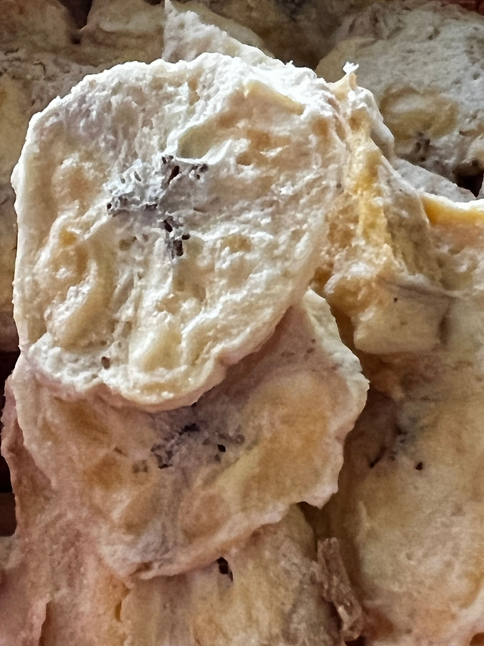 Freeze dried banana | Vast Harvest Permaculture