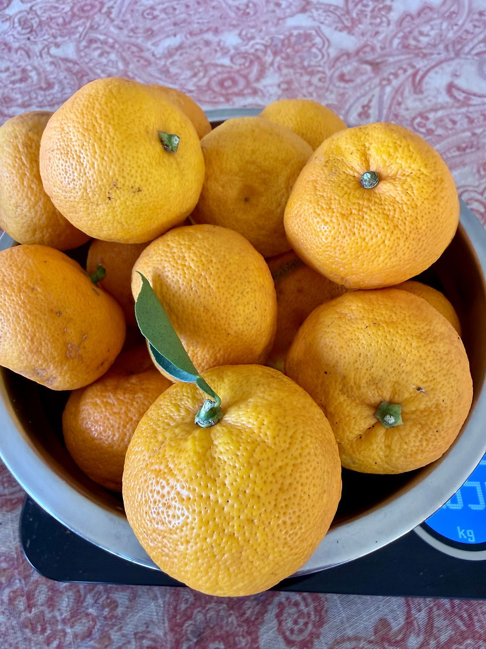 Thumbnail: Fresh Sudachi (Japanese Citrus)