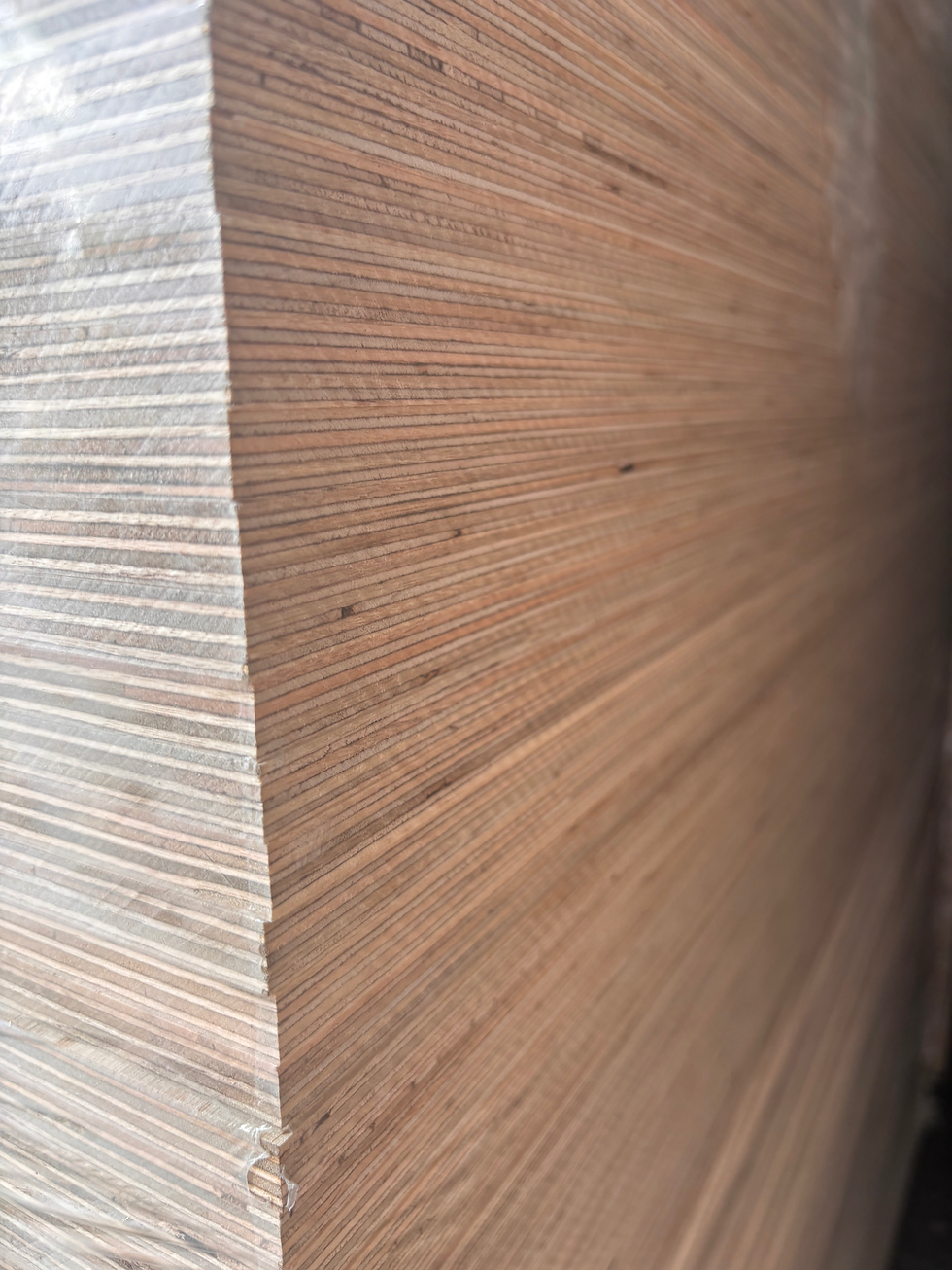 Marchand Luxury Oak plywood